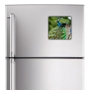 Acrylic Square Fridge Magnet